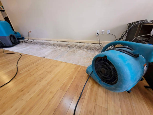 Professional Structural Drying technician working in Hico, WV
